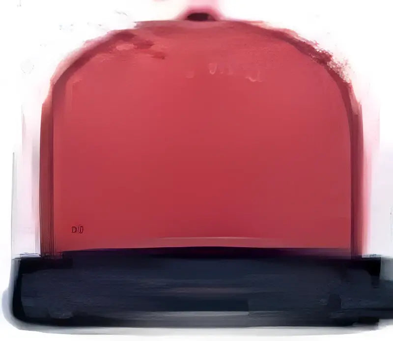 Pacific Headwear P423 Weekender Trucker Cap - Red White Navy