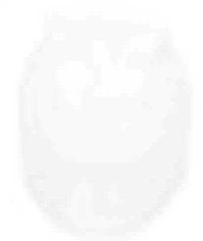 Pacific Headwear P605k Eco Revive Beanie White / 7’’ 7 7/8’’