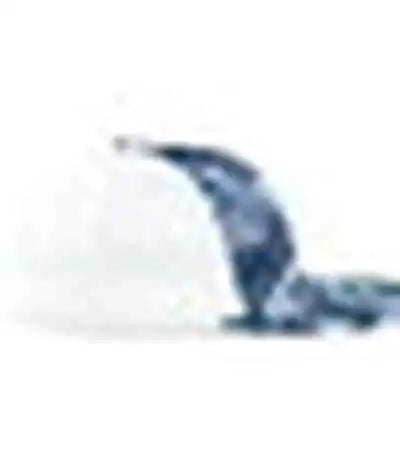 Pacific Headwear P691 Mossy Oak Low Profile Trucker Pacflex Cap Elements Agua Blackfin White