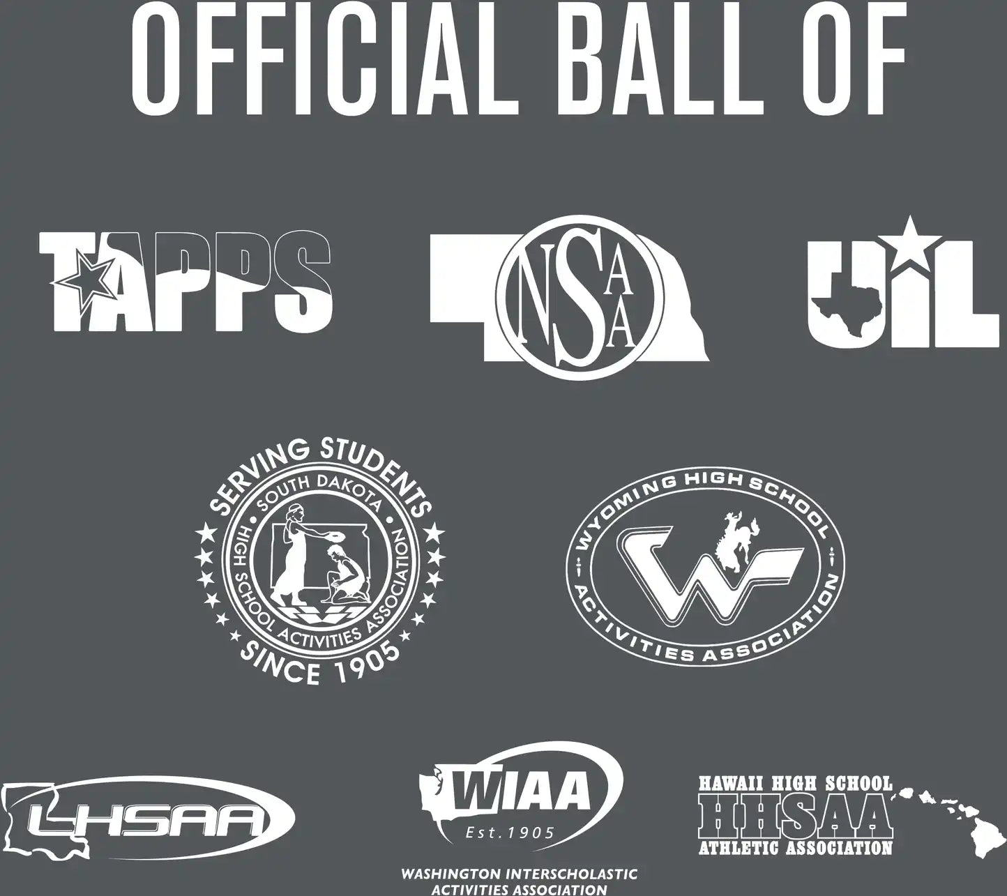 Perfection Game Softballs - 1 Dozen