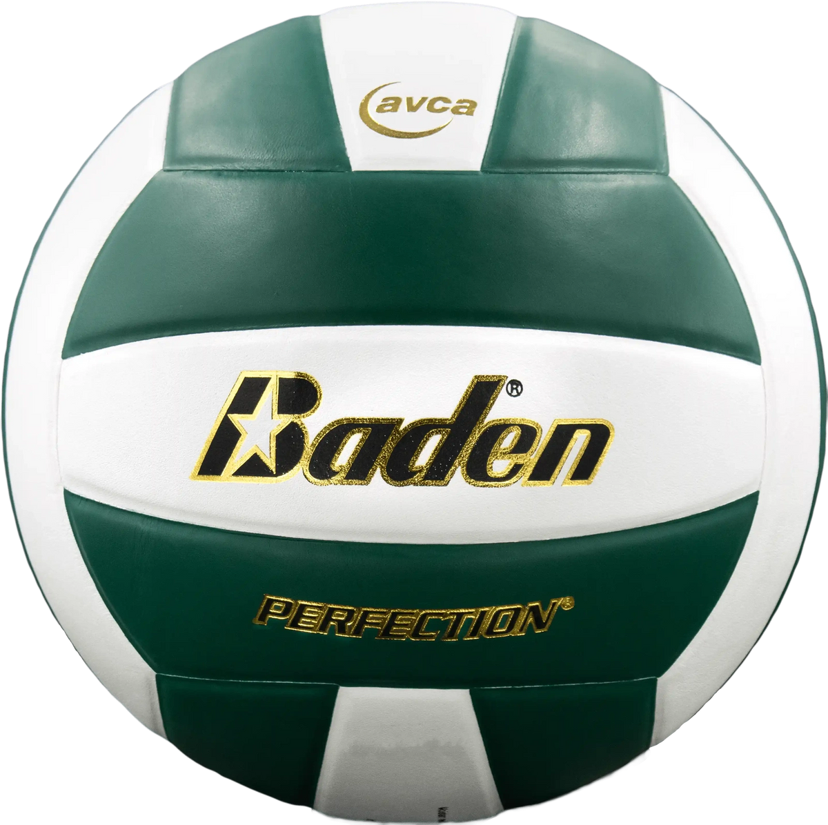 Perfection Leather Volleyball Non Nfhs - Green/white