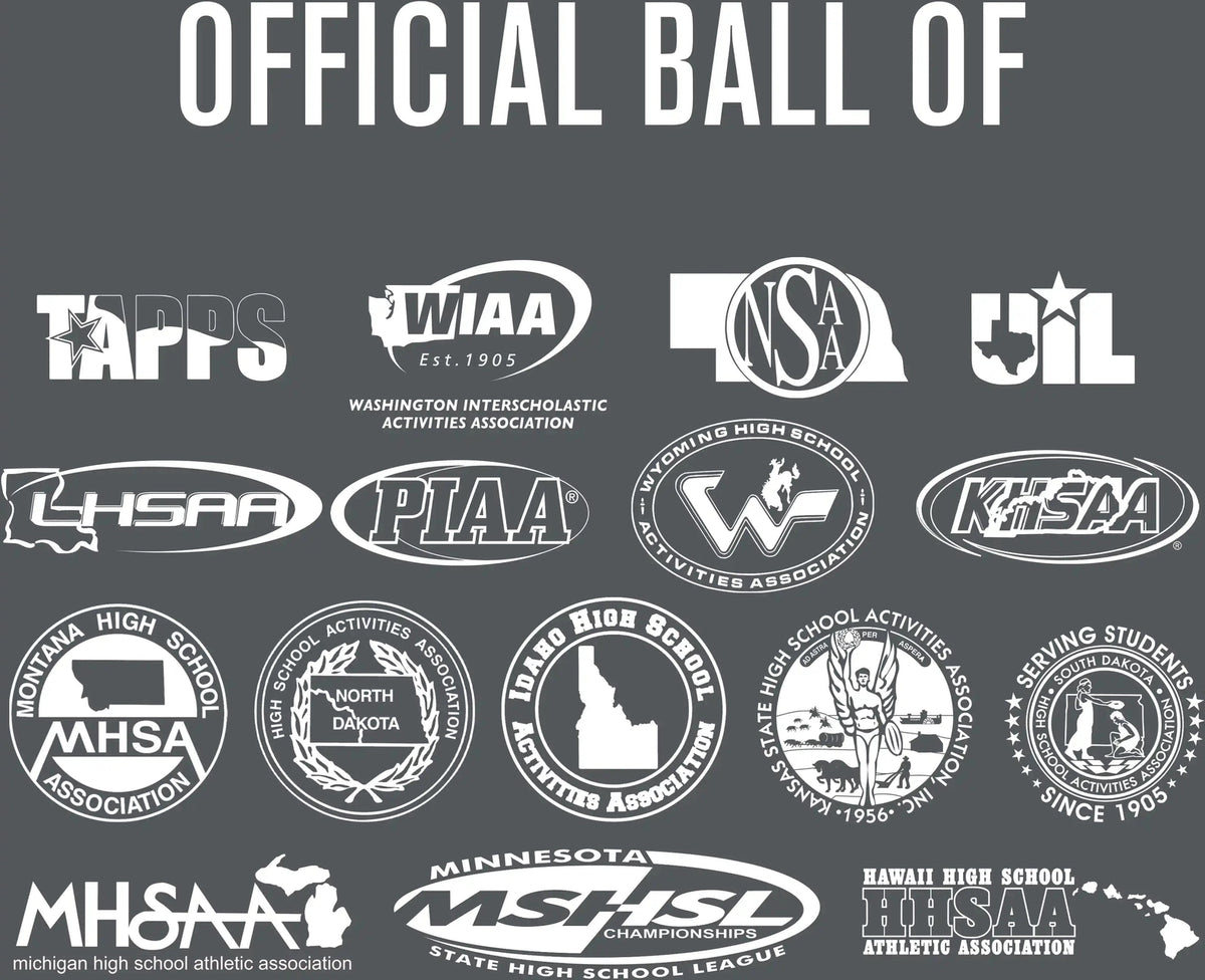 Perfection Leather Volleyball Non Nfhs