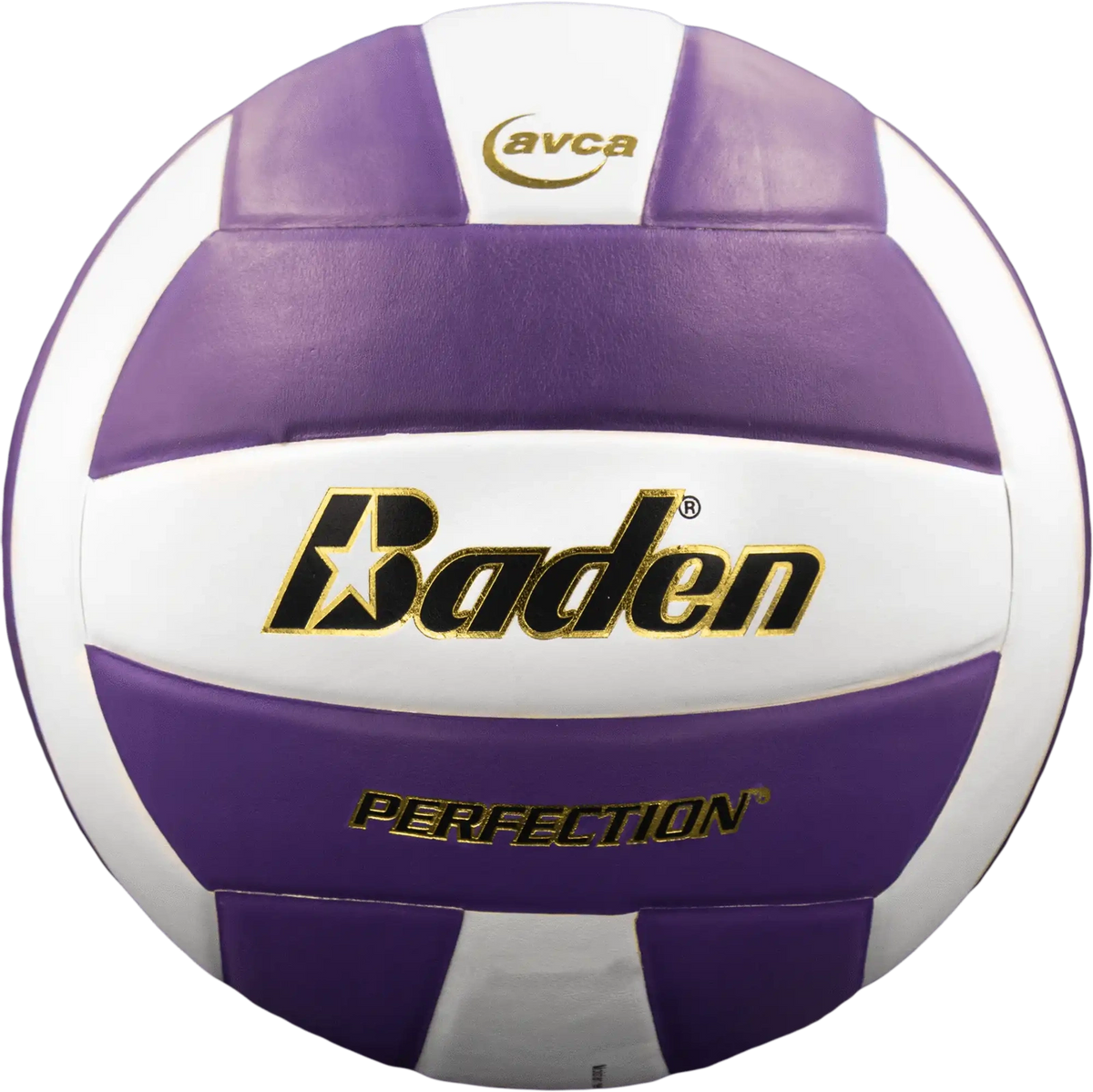 Perfection Leather Volleyball Non Nfhs - Purple/white