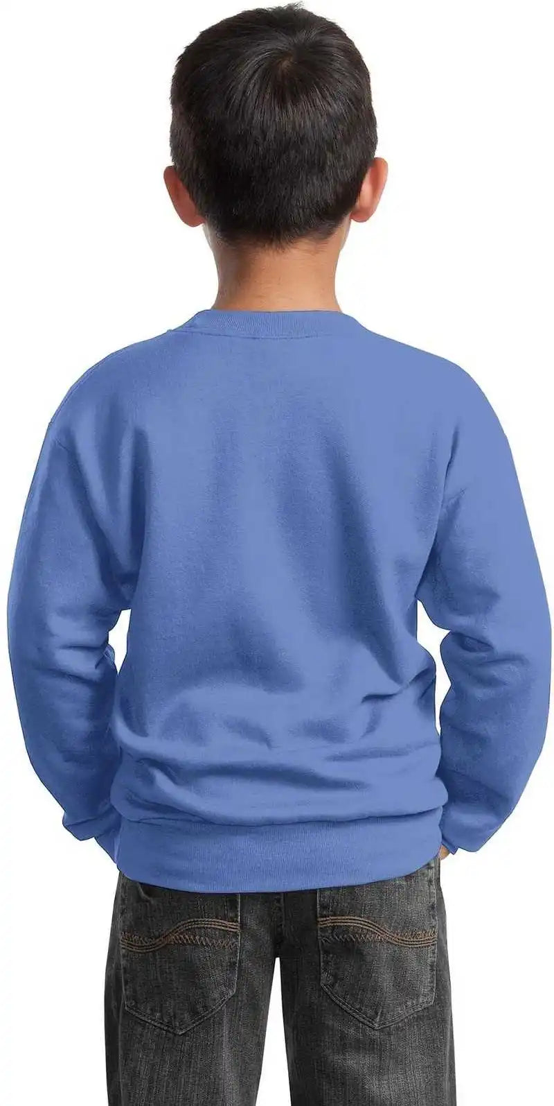 Port &amp; Company Pc90y Youth Core Fleece Crewneck Sweatshirt Carolina Blue