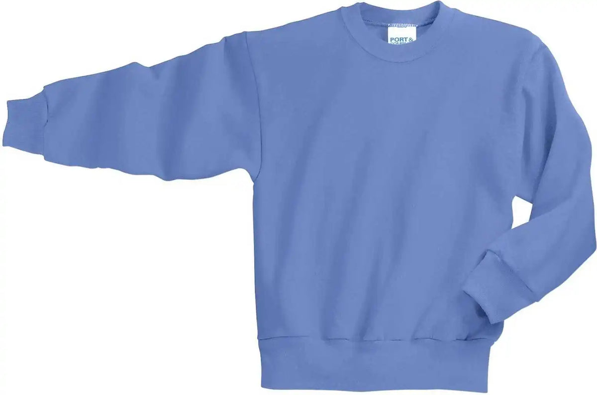 Port &amp; Company Pc90y Youth Core Fleece Crewneck Sweatshirt Carolina Blue
