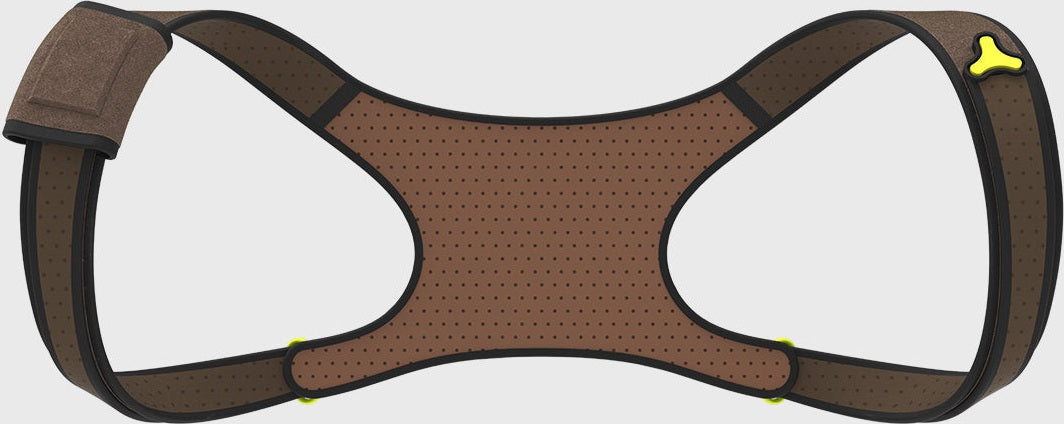 PostureCue Posture Enhancer