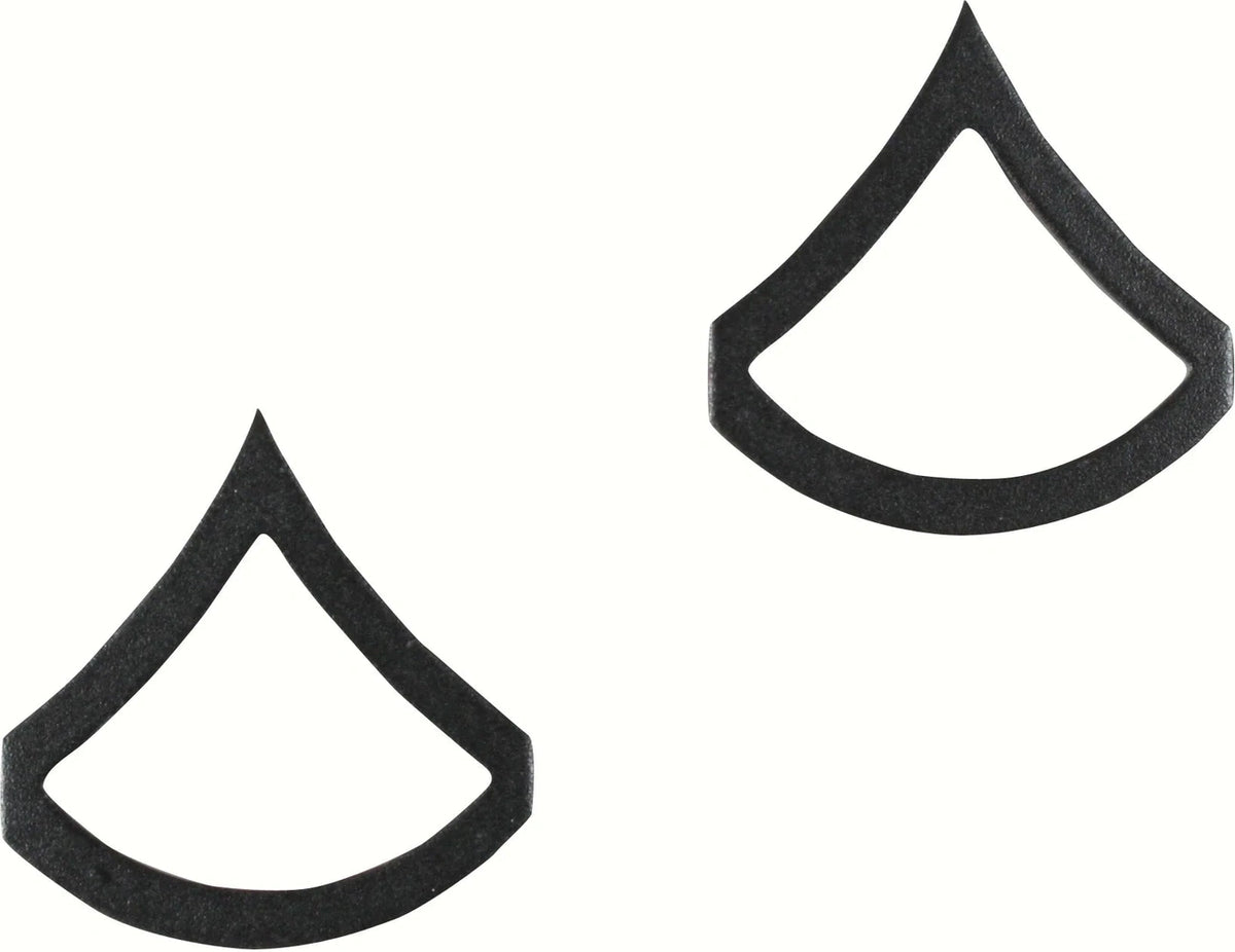 Private First Class Polished Insignia - Subdued