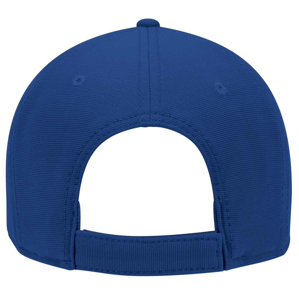 Rear View of 001 - Royal OTTO CAP 6 Panel Low Profile Baseball Cap
