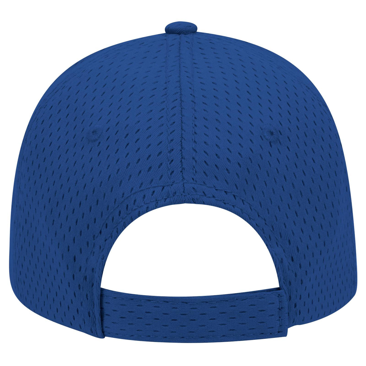 Rear View of 001 - Royal OTTO CAP 6 Panel Low Profile Baseball Cap