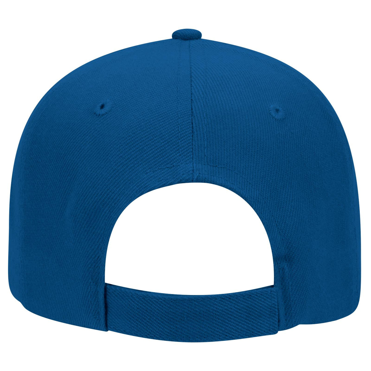 Rear View of 001 - Royal OTTO CAP 6 Panel Low Profile Baseball Cap