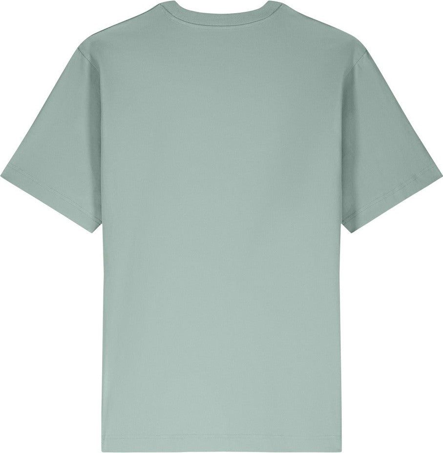Front View of Aloe Stanley/Stella Unisex Freestyler Heavyweight Tee SXU018