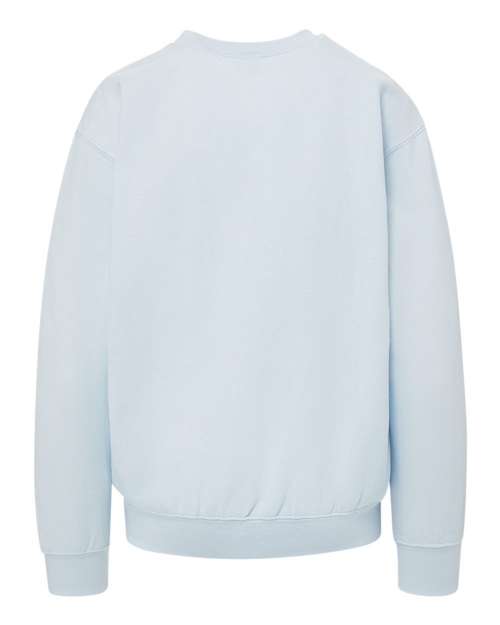 Rear View of Arctic Blue Youth Buddy Crewneck Sweatshirt - 23154Y