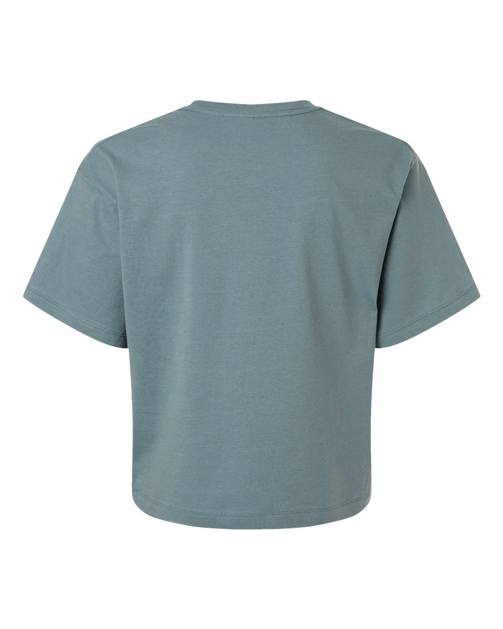 Rear View of Arctic Women&#39;s Fine Jersey Boxy Tee - 102