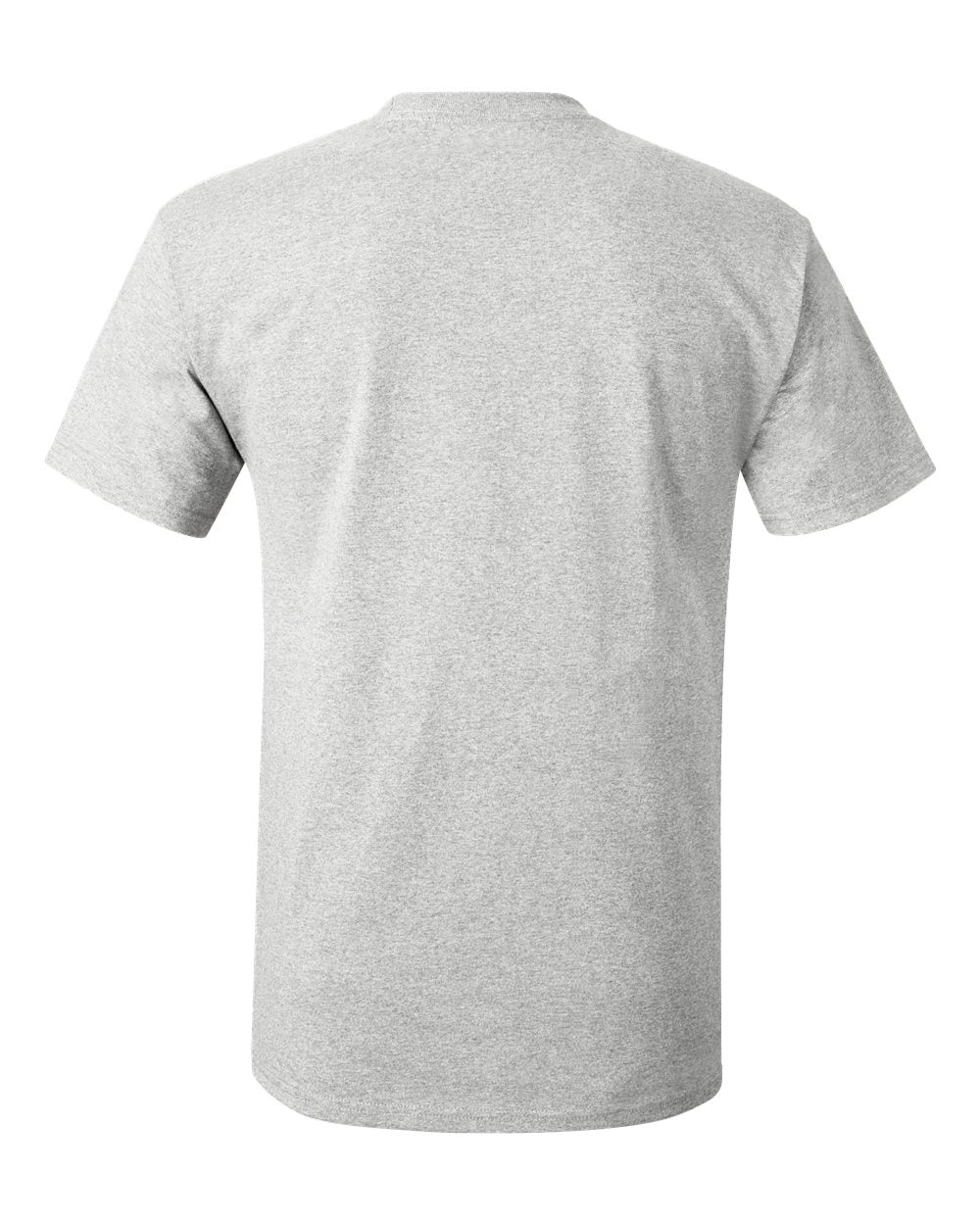 Rear View of Ash Authentic T-Shirt - 5250