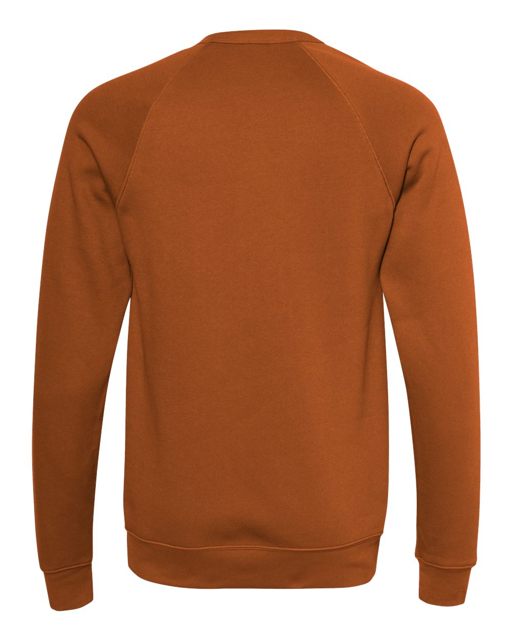Front View of Autumn Sponge Fleece Raglan Crewneck Sweatshirt - 3901