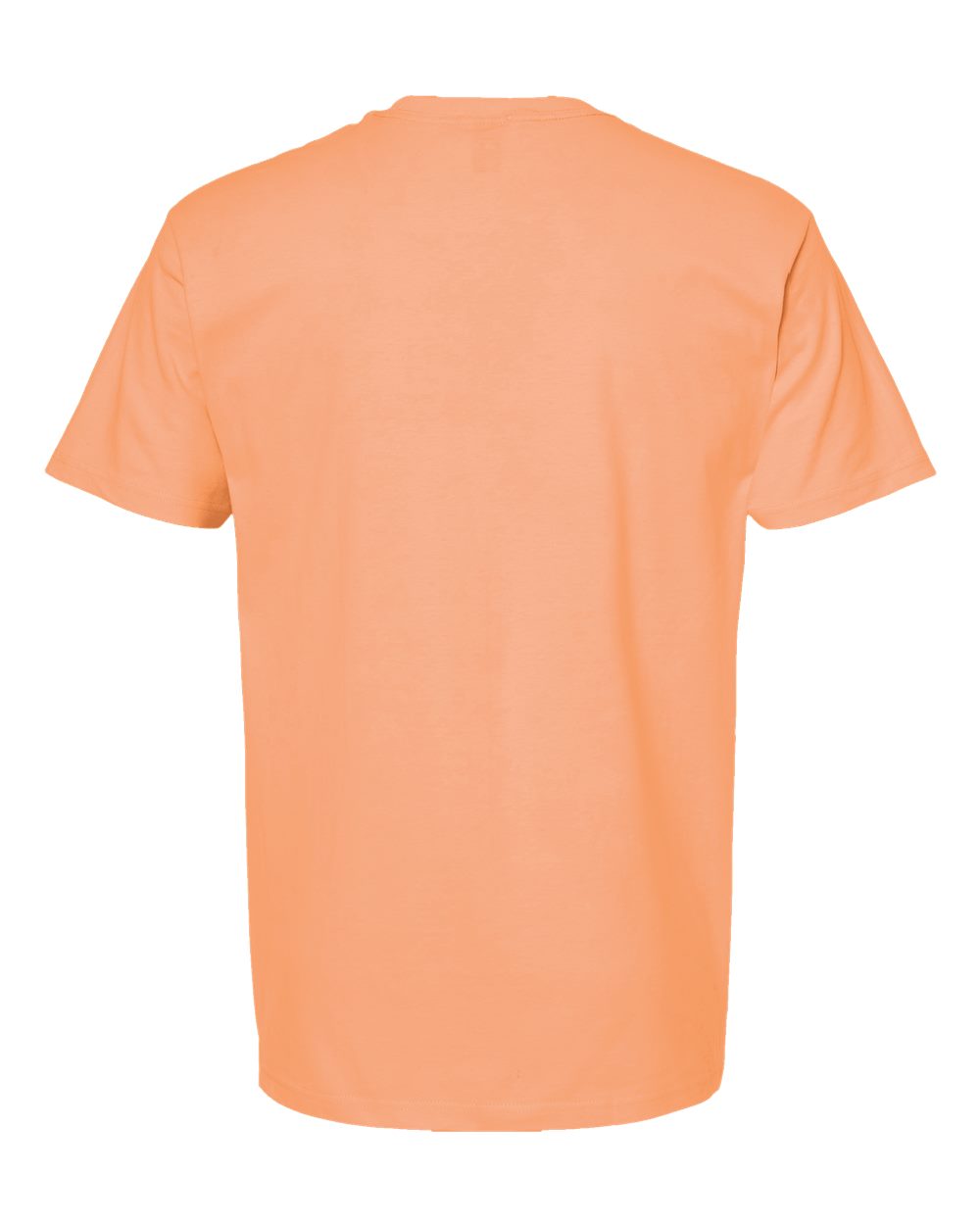 Rear View of Cantaloupe Heavyweight Jersey T-Shirt - 290