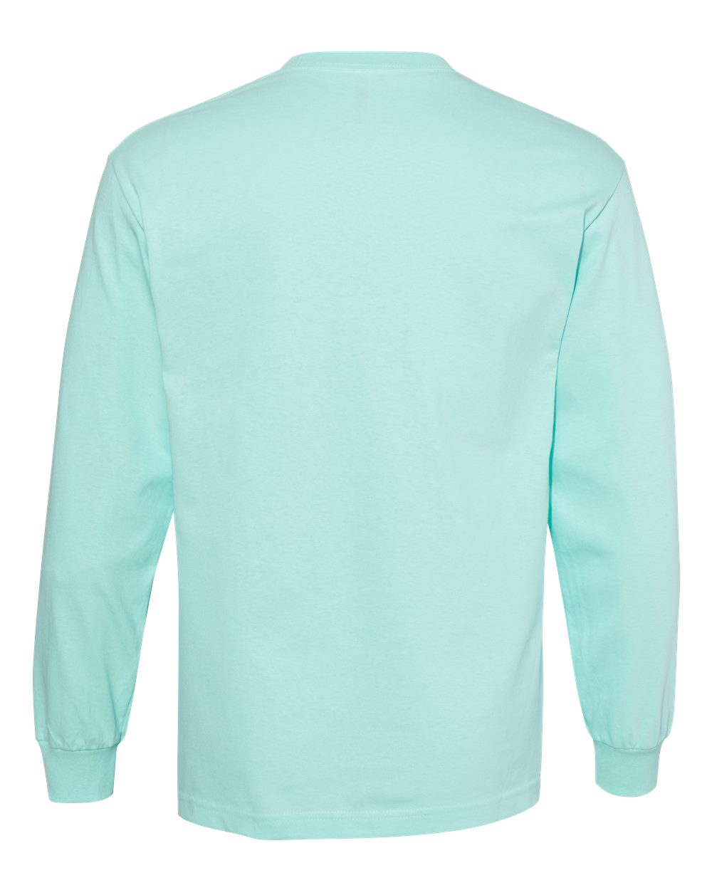 Front View of Celadon Heavyweight Cotton Long Sleeve Tee - 1304