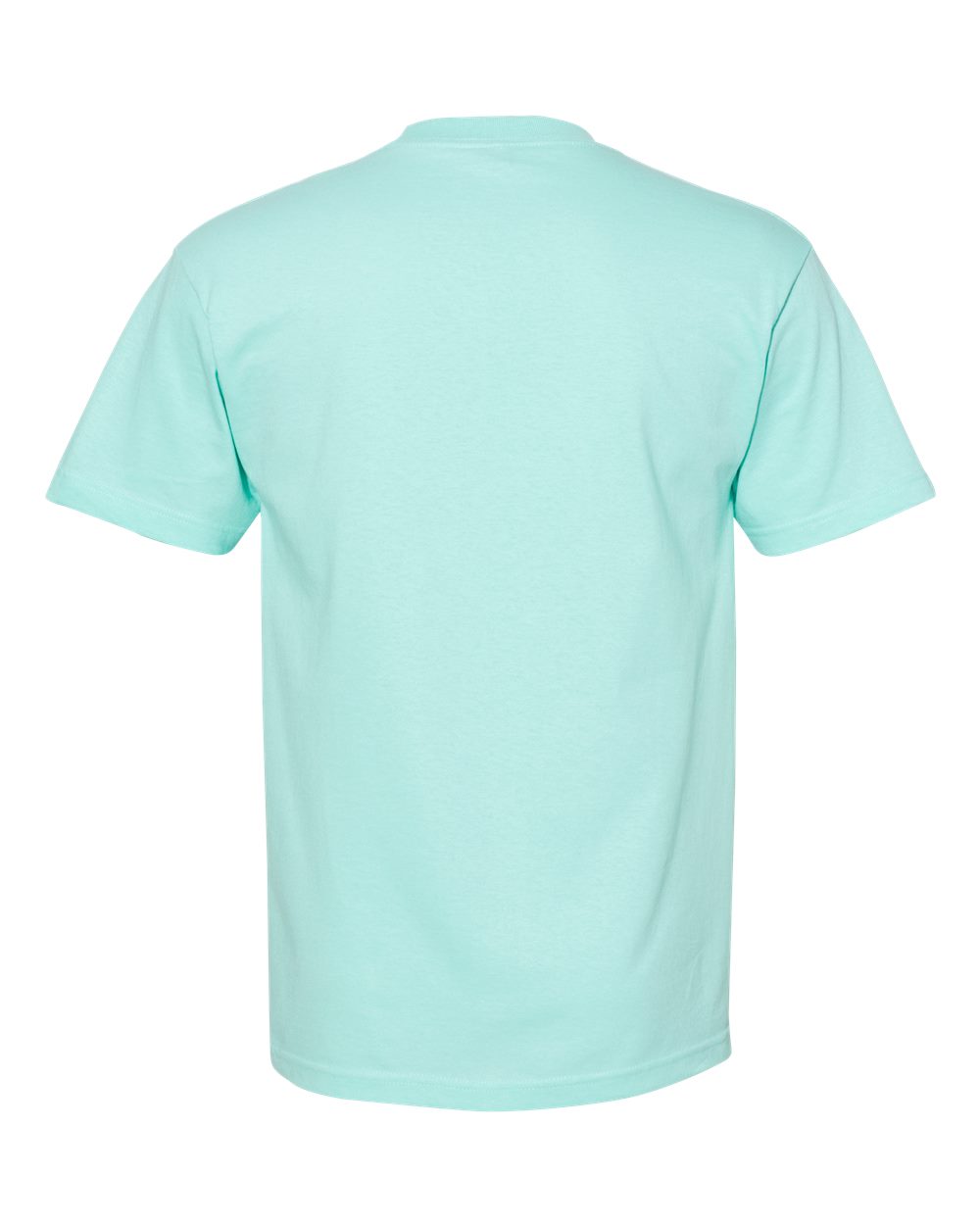 Front View of Celadon Heavyweight Cotton Tee - 1301