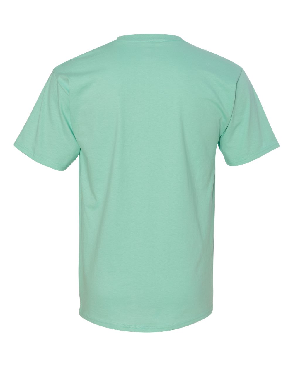 Rear View of Clean Mint Authentic T-Shirt - 5250