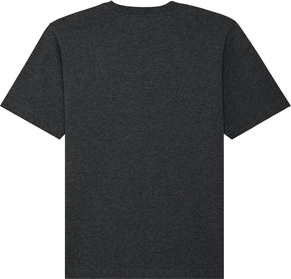 Rear View of DkHtGry Stanley/Stella Unisex Freestyler Heavyweight Tee SXU018