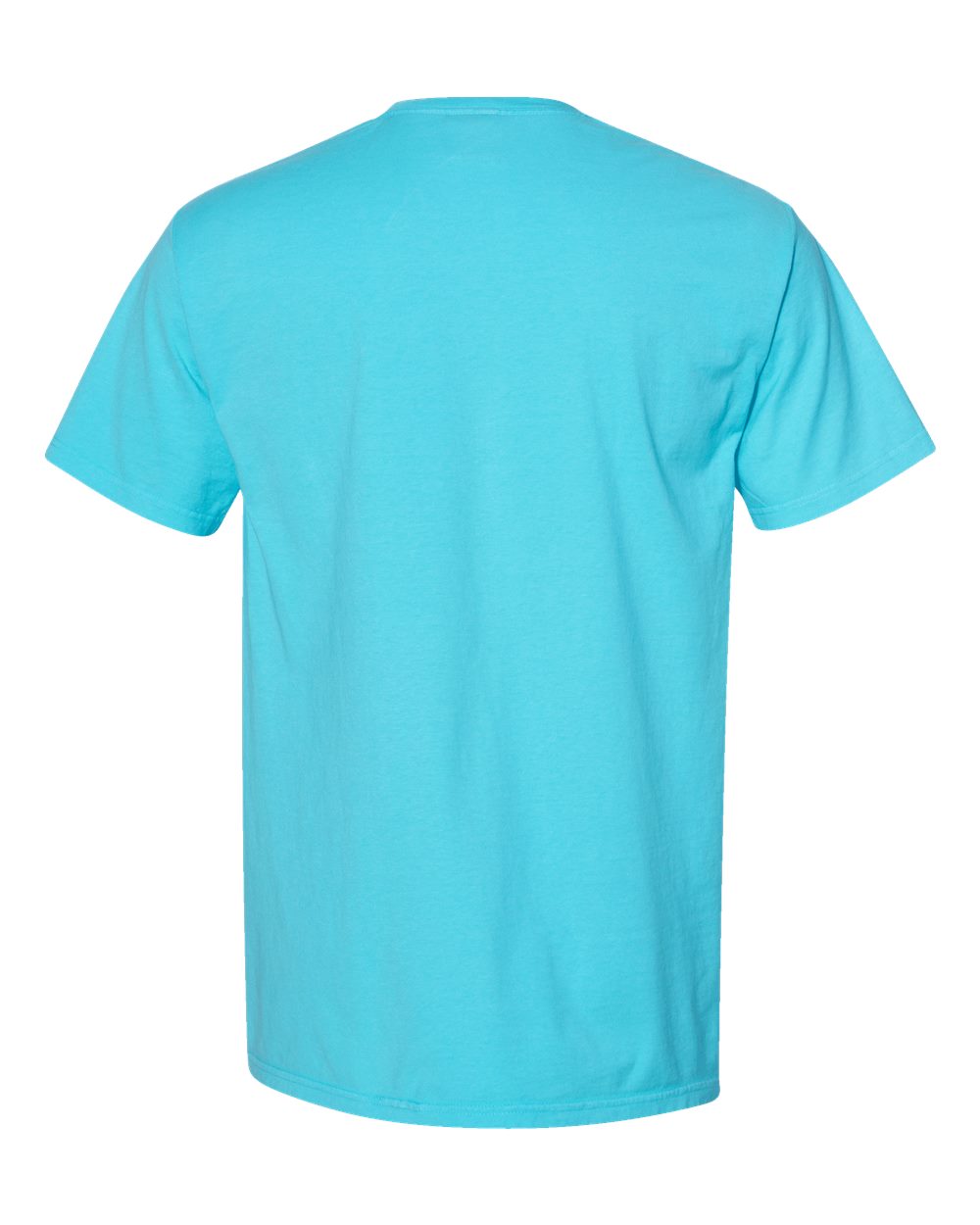 Rear View of Freshwater Garment-Dyed T-Shirt - GDH100