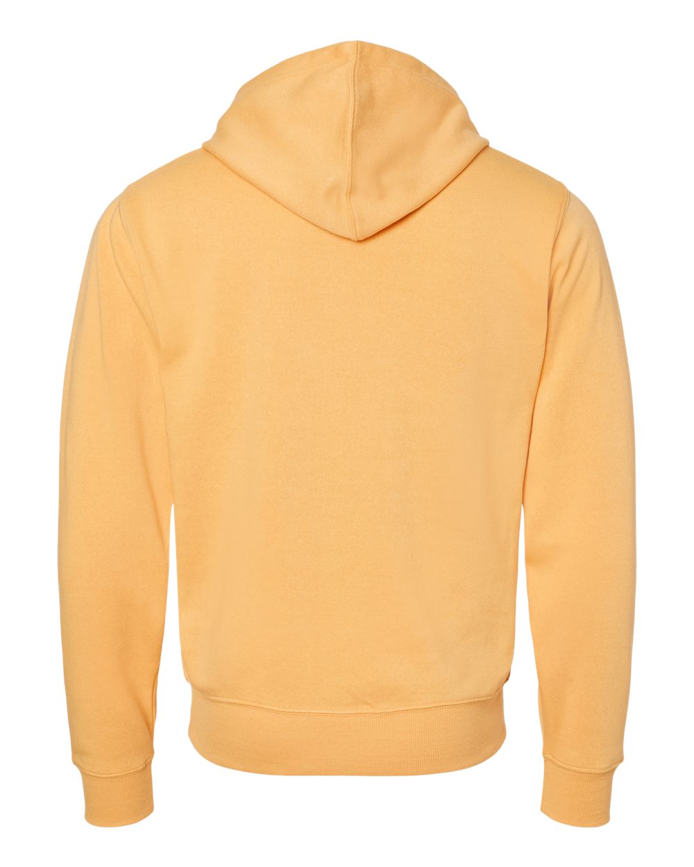 Rear View of Golden Triblend Triblend Fleece Hooded Sweatshirt - 8871