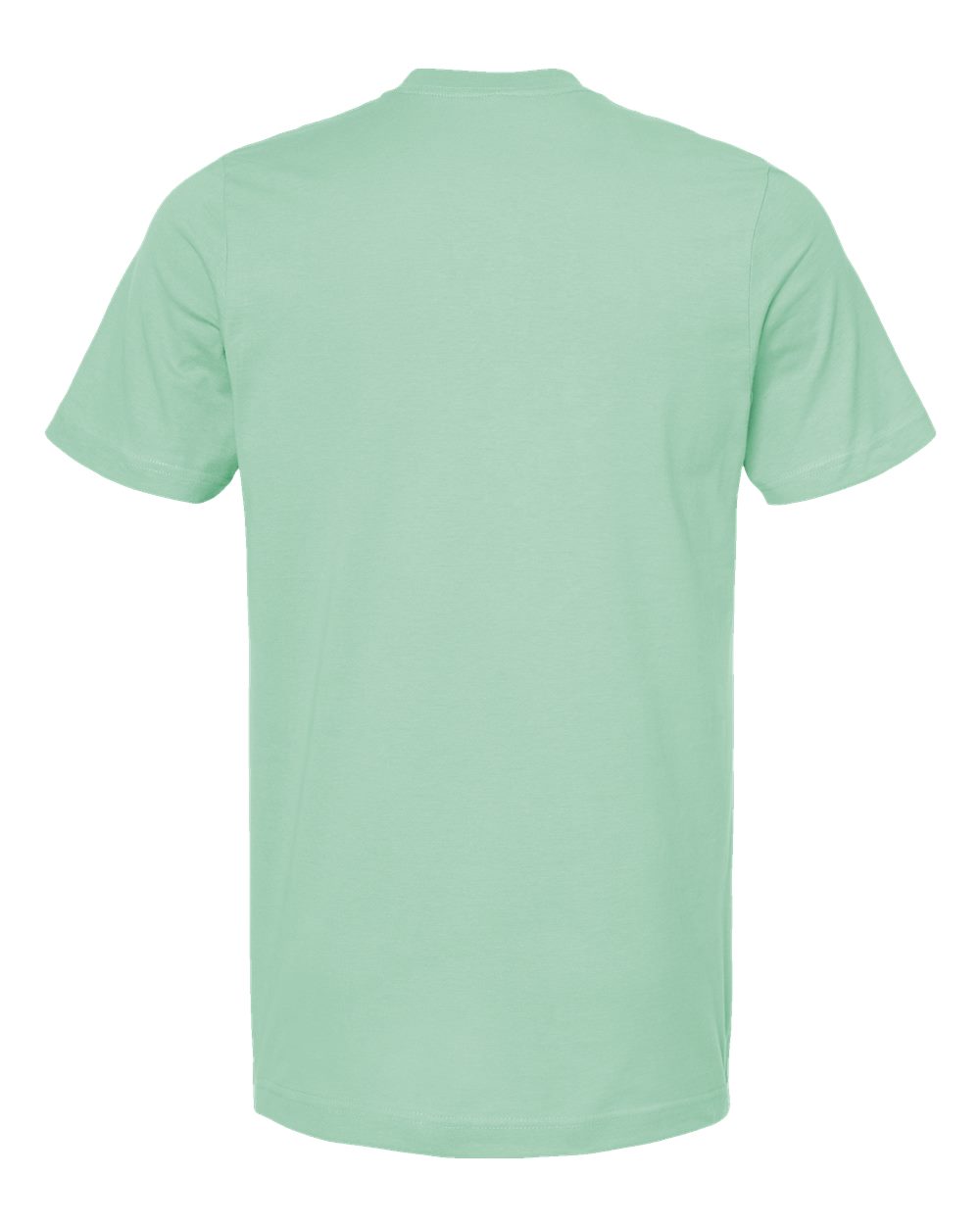Rear View of Light Mint Combed Cotton T-Shirt - 602