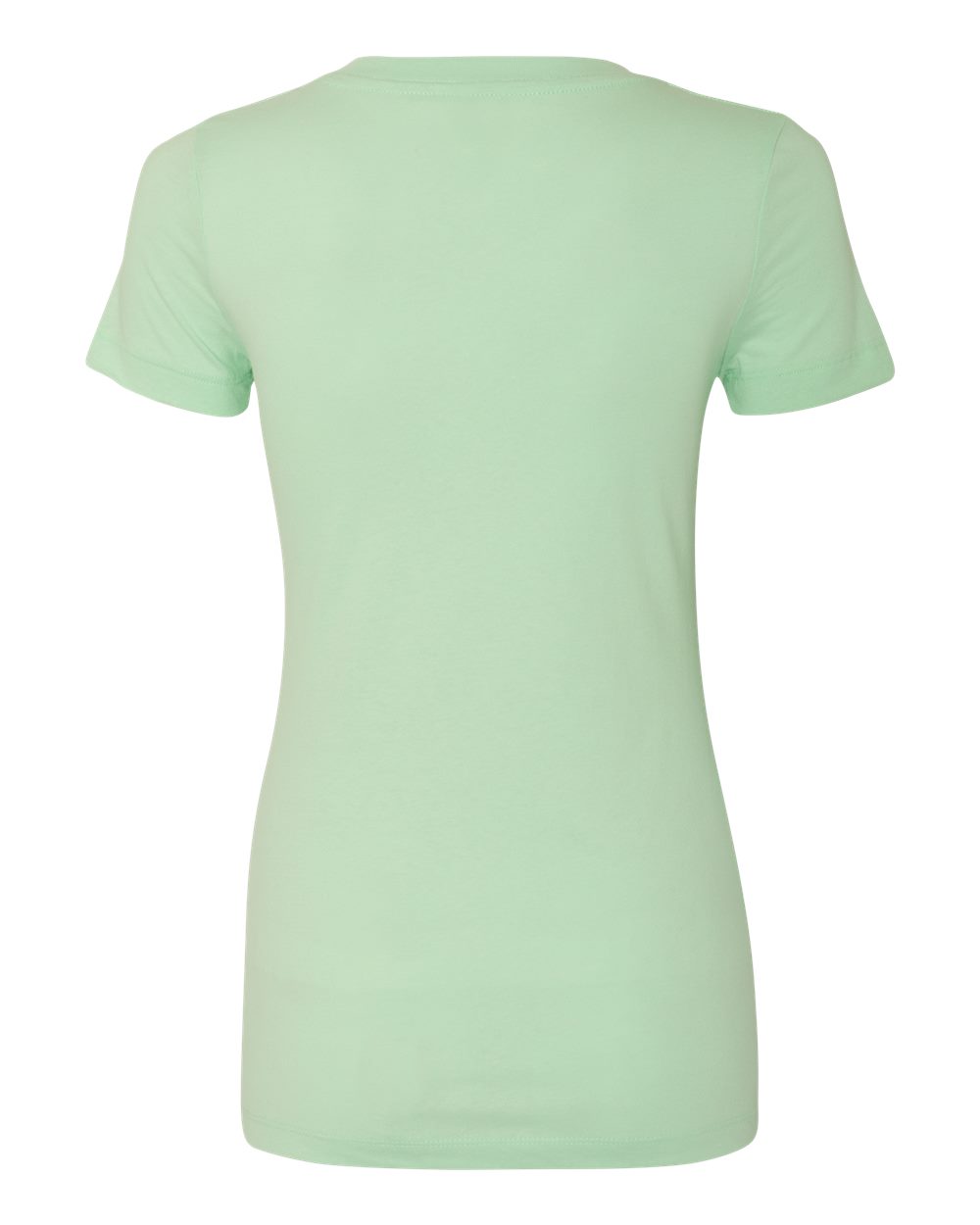 Front View of Mint Women's Ideal V-Neck T-Shirt - 1540