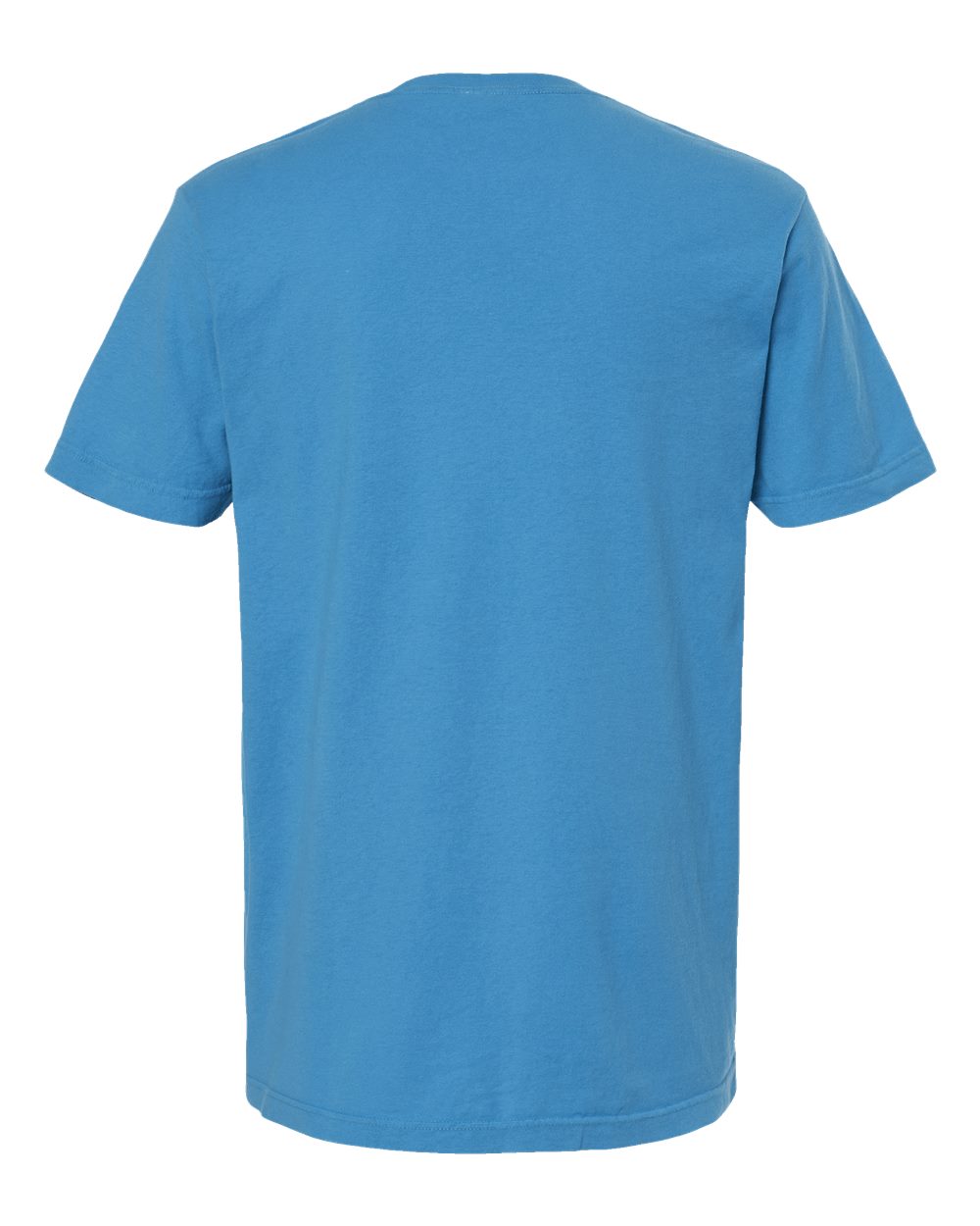 Rear View of Royal Caribe Vintage Garment-Dyed T-Shirt - 6500M