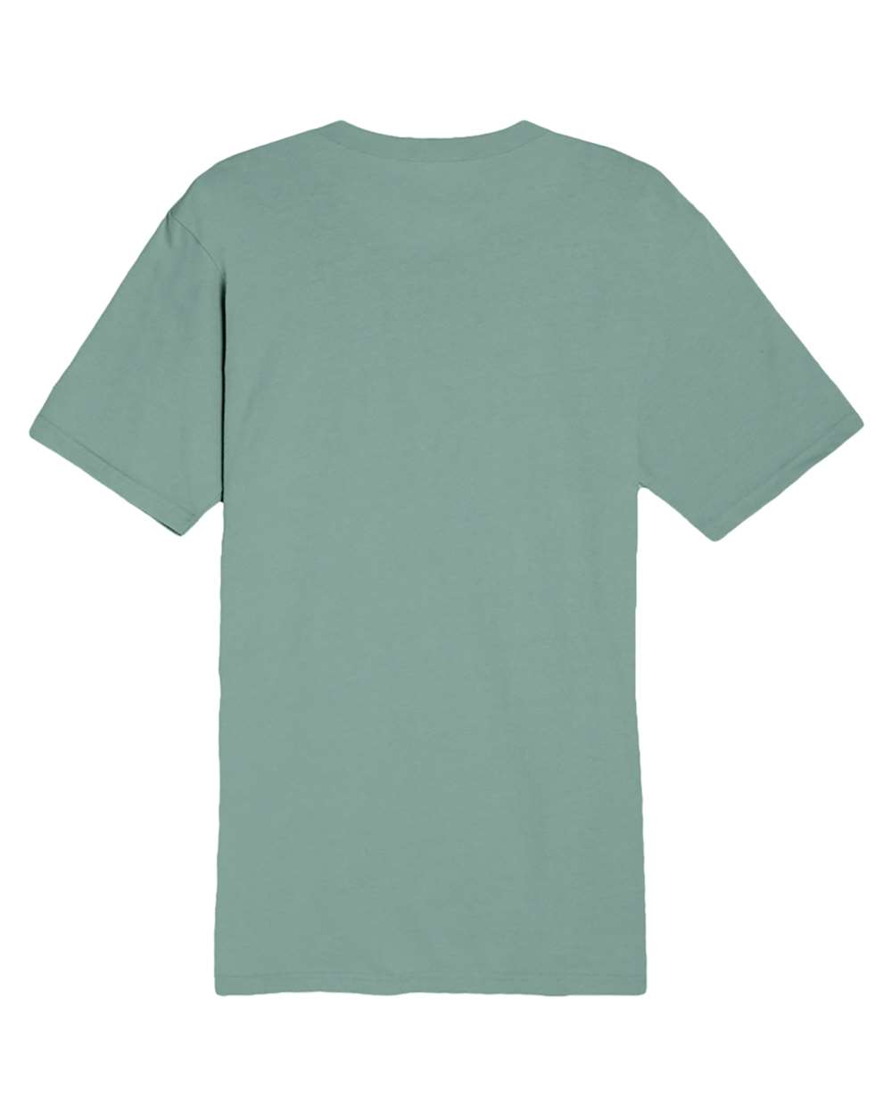 Front View of Sage Heavyweight T-Shirt - LS15001