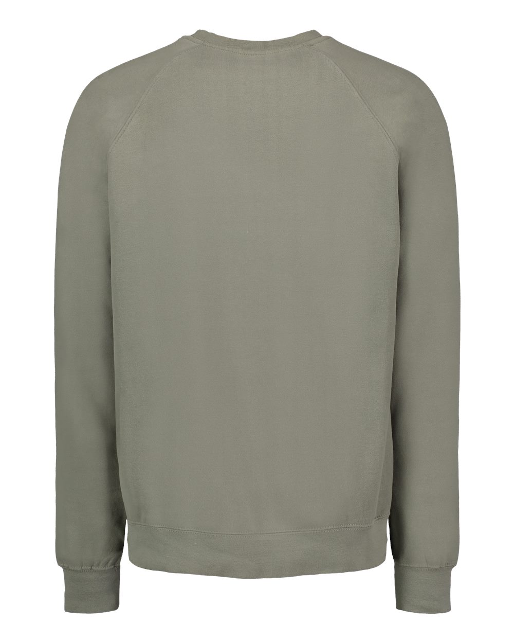 Front View of Sage Vintage Fleece Raglan Crewneck Sweatshirt - 17116