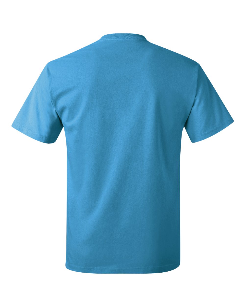 Rear View of Sapphire Authentic T-Shirt - 5250