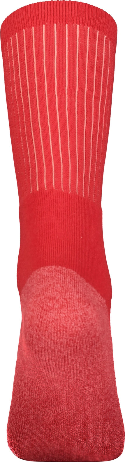 Rear View of SCARLET TONAL CREW SOCK