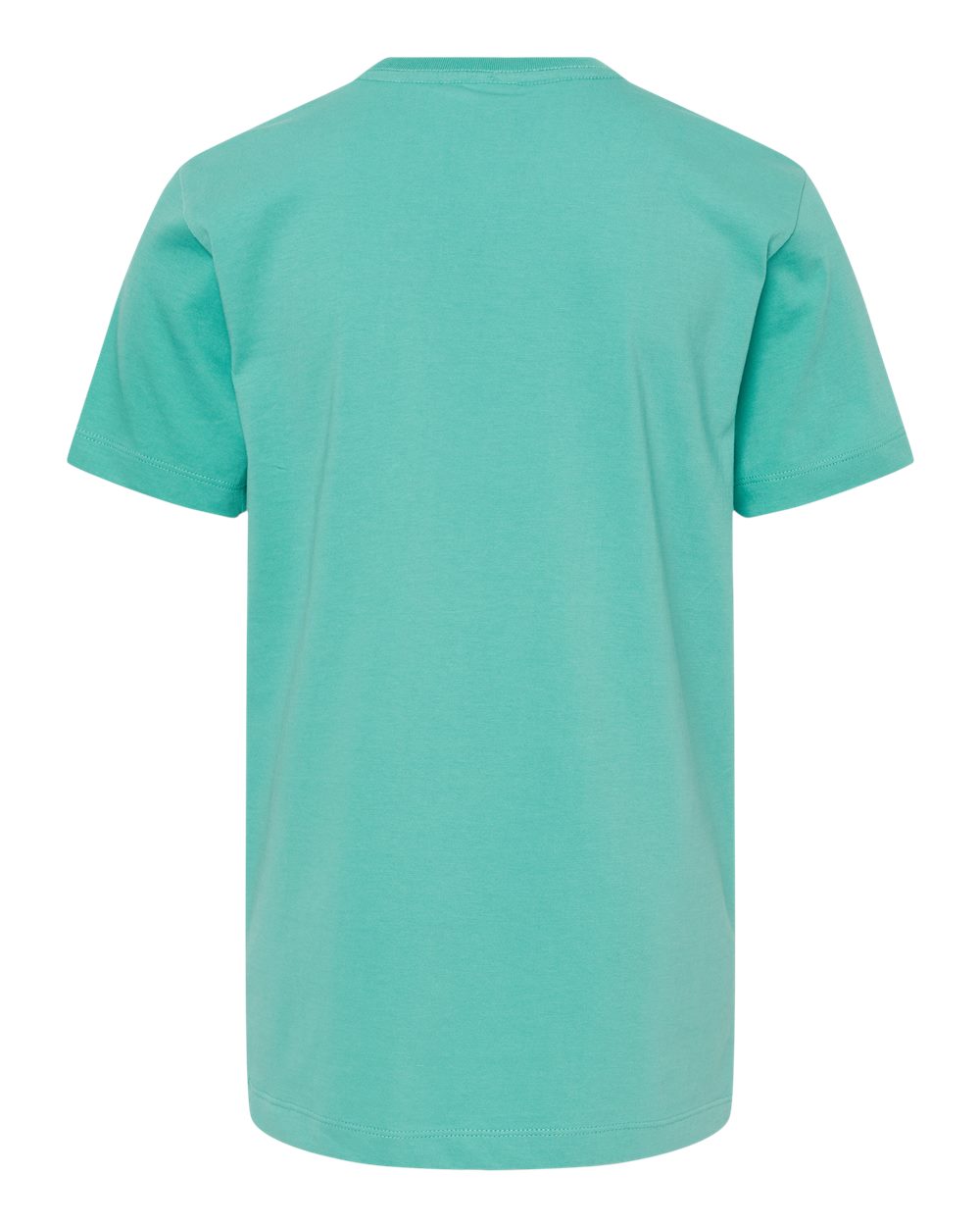 Rear View of Seafoam Youth Organic T-Shirt - 402