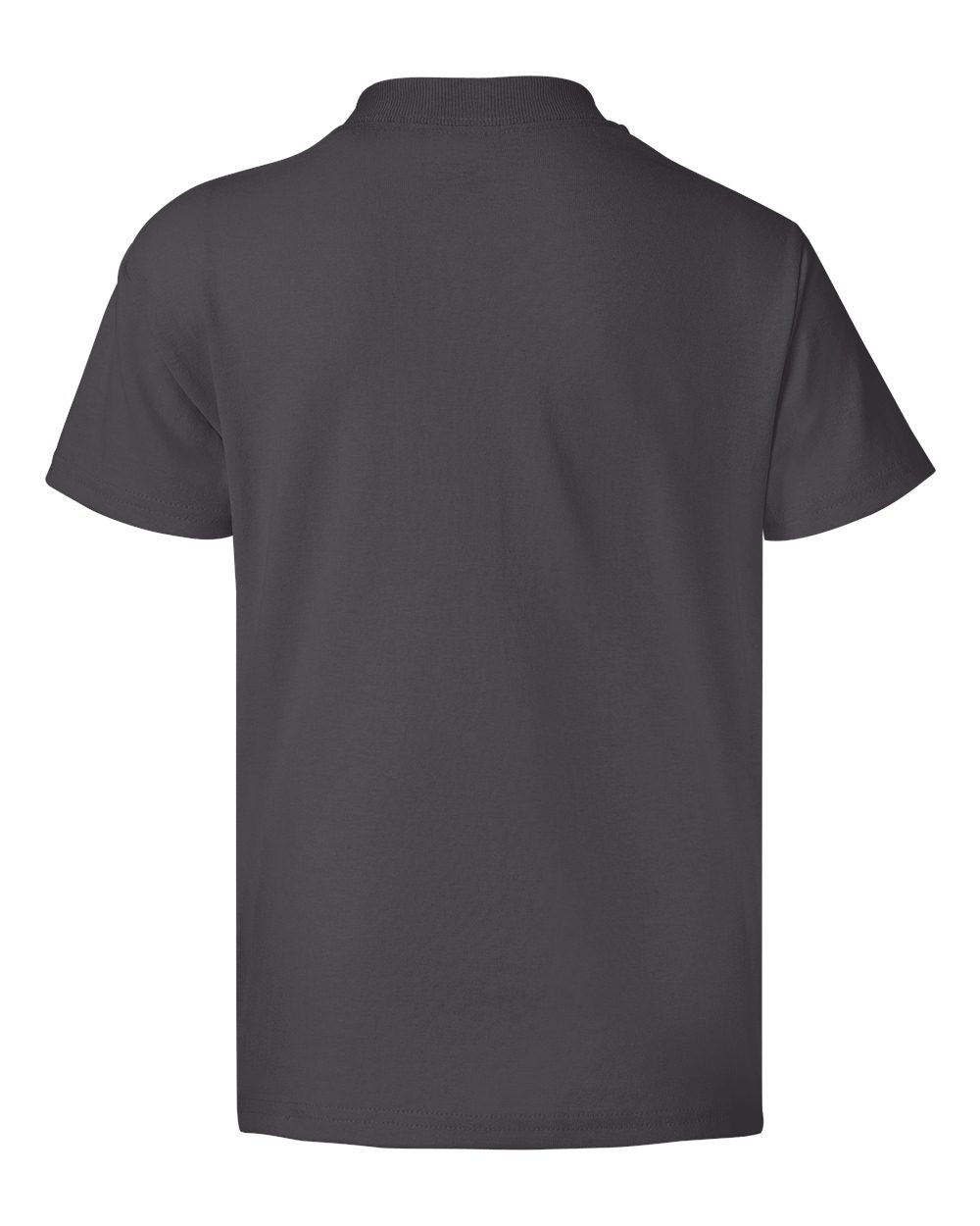 Rear View of Smoke Grey Ecosmart™ Youth T-Shirt - 5370