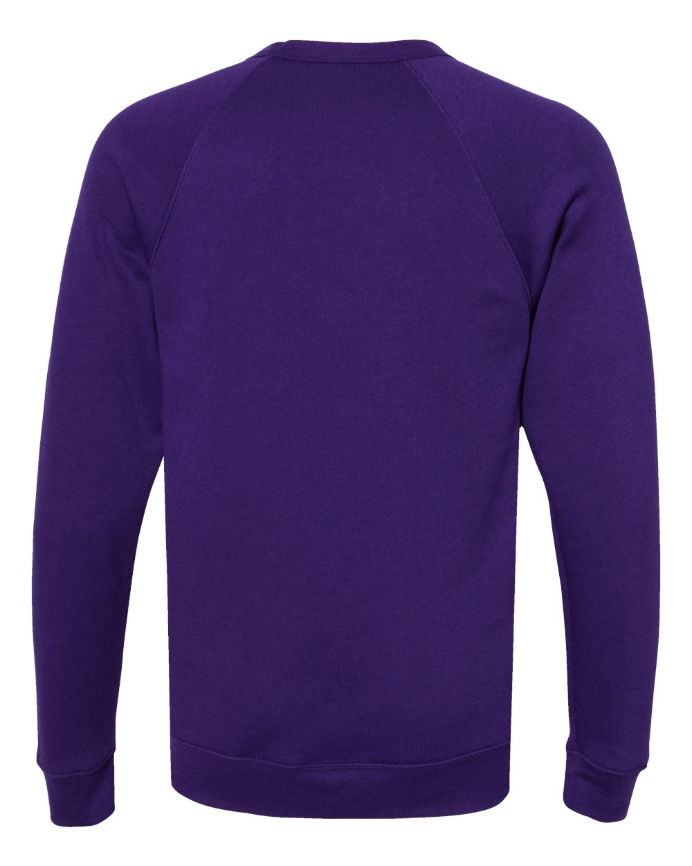 Front View of Team Purple Sponge Fleece Raglan Crewneck Sweatshirt - 3901