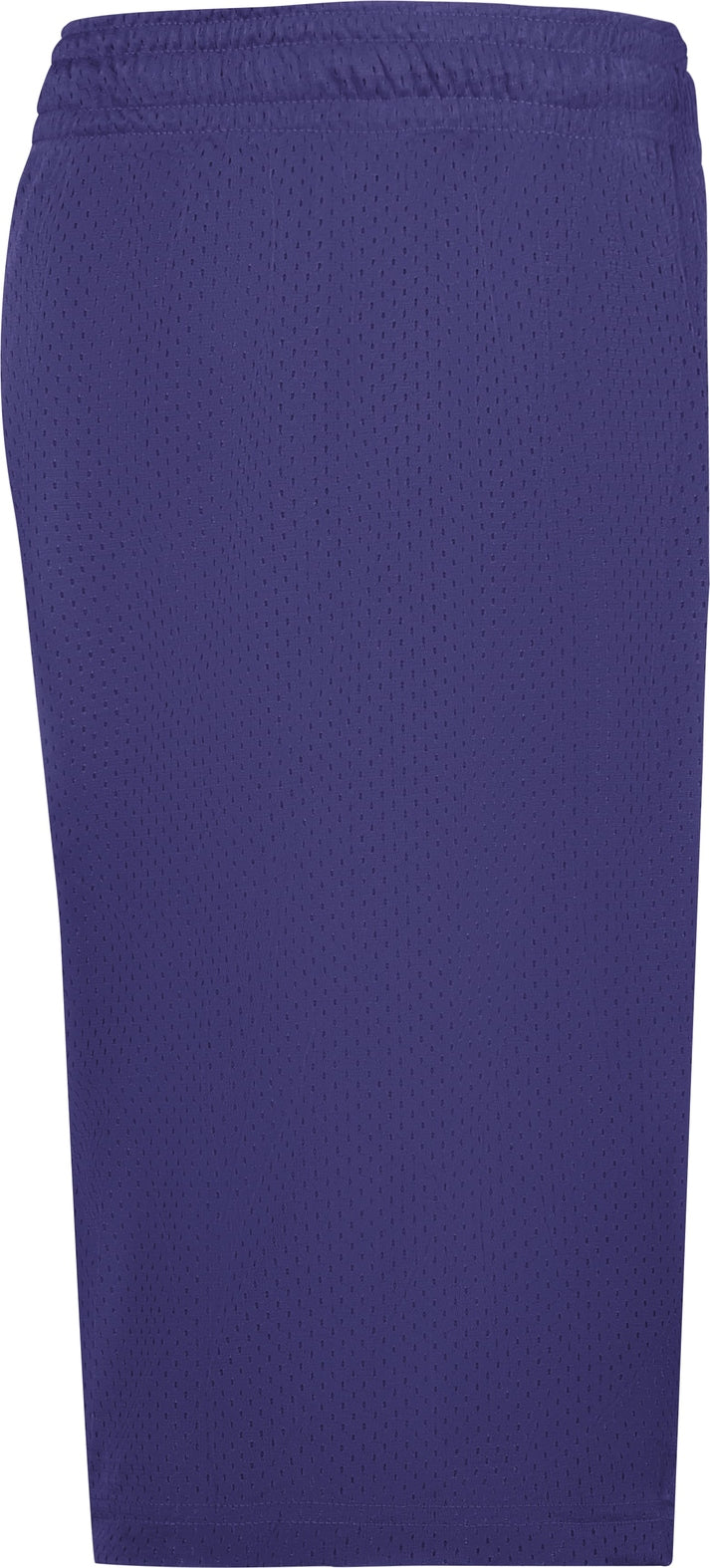 Right View of BA PURPLE MESH/TRICOT SHORT