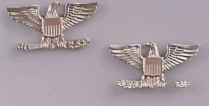 Rothco Colonel Insignia Pin Silver / one Size