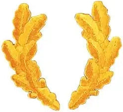Scrambled Eggs Military Patch