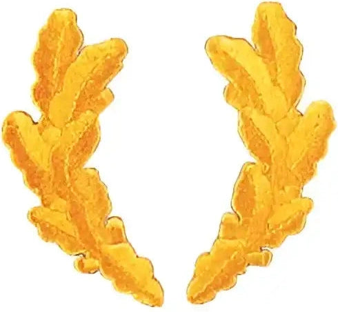 Scrambled Eggs Military Patch