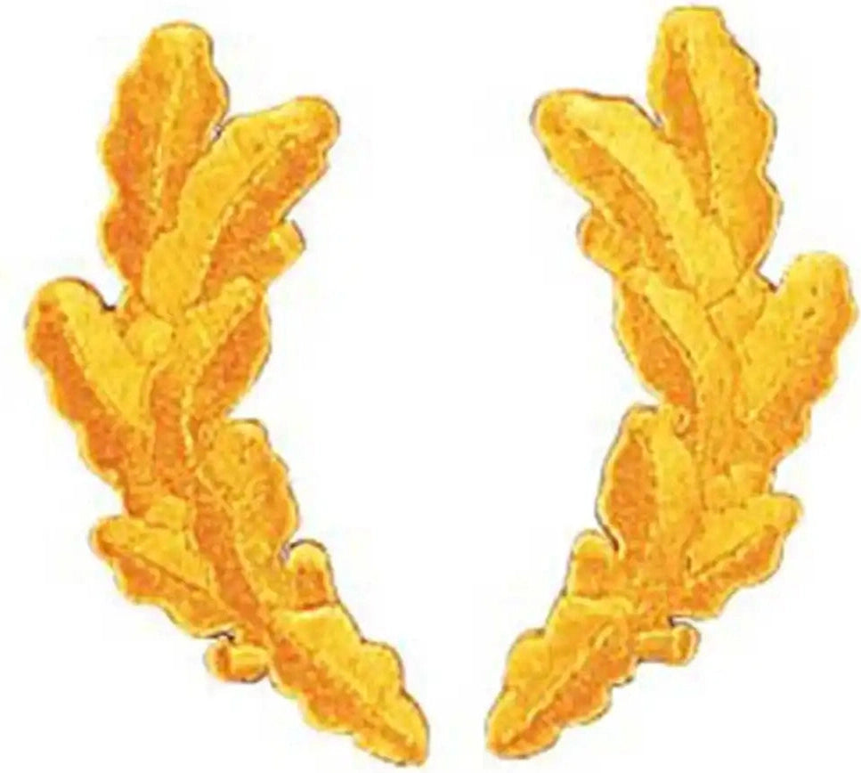 Scrambled Eggs Military Patch