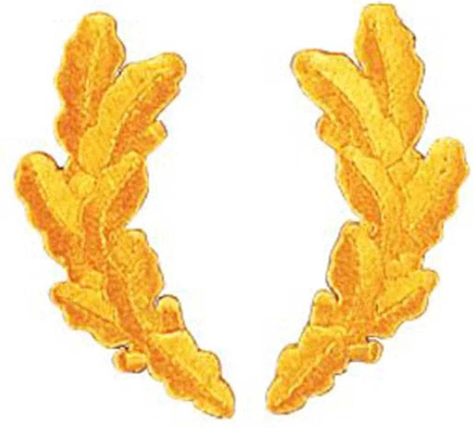Scrambled Eggs Military Patch