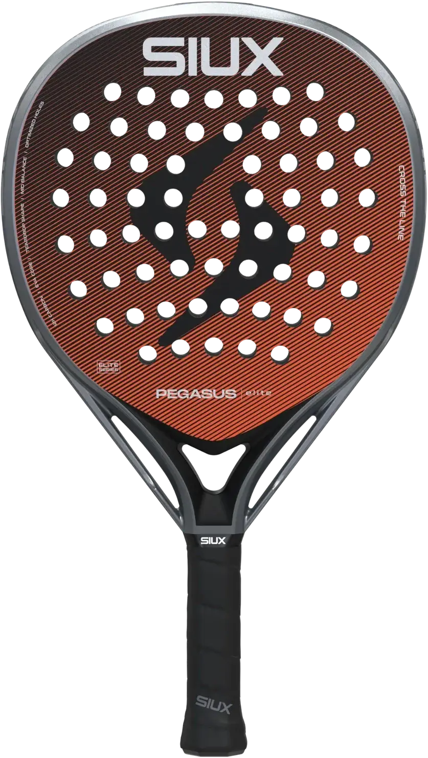 Siux Pegasus Elite 4 2026