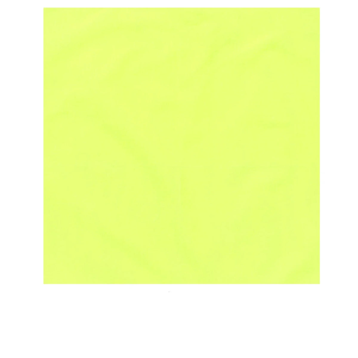 Solid Color Bandana