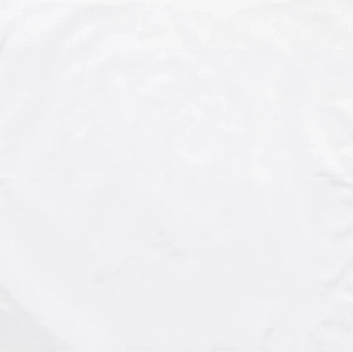 Solid Color Bandana - White