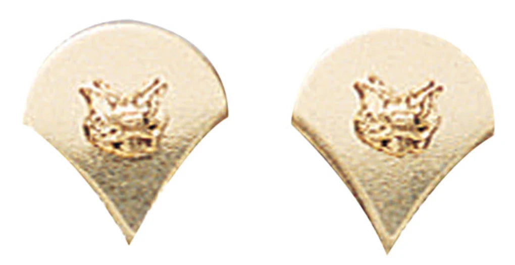 Spec-4 Polished Insignia - Subdued