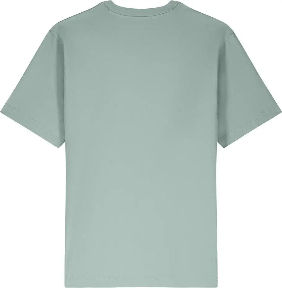 Stanley/stella Sxu018 Unisex Freestyler Heavyweight Tee - Aloe - Adult Xs