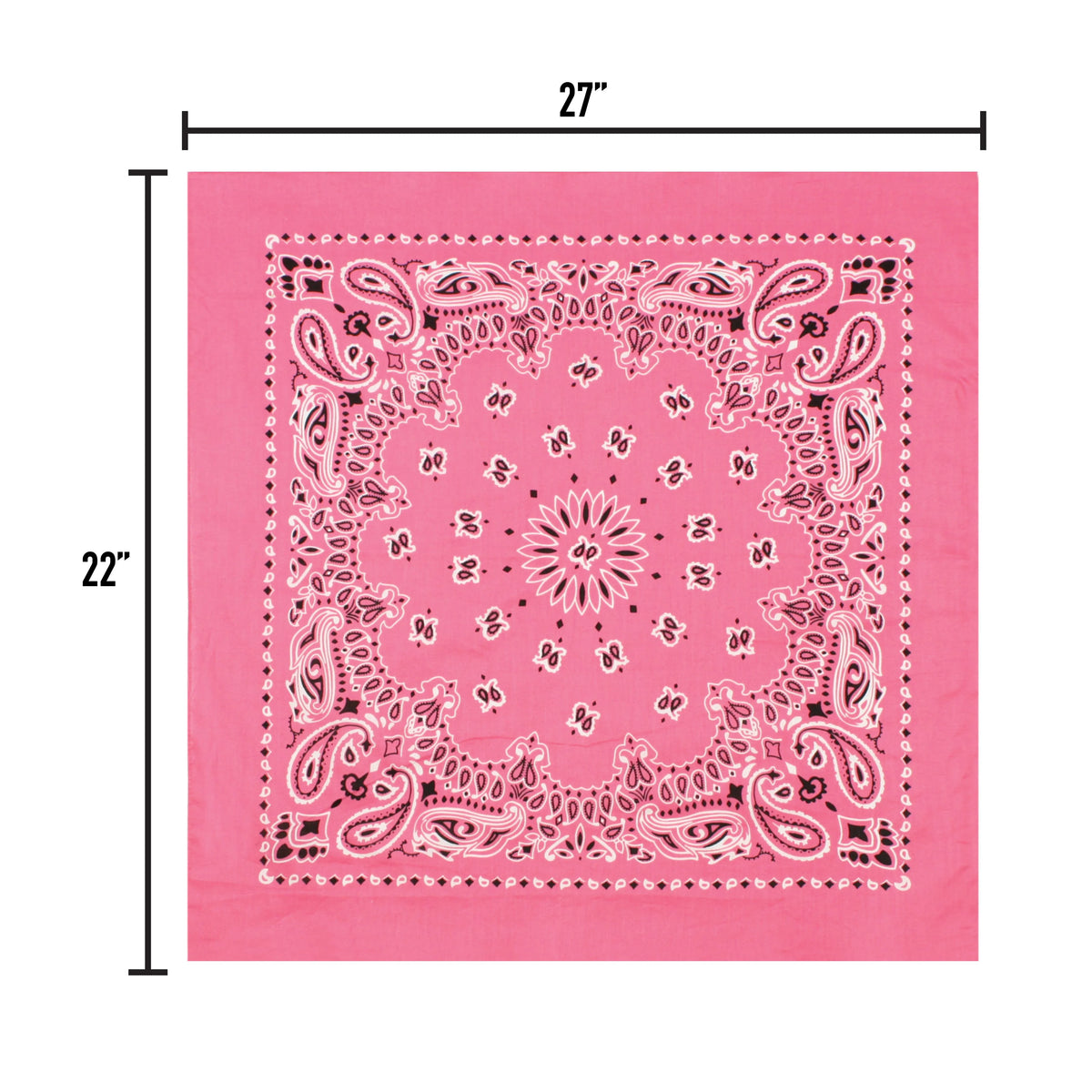 Trainmen Paisley Bandana - 22’’ x