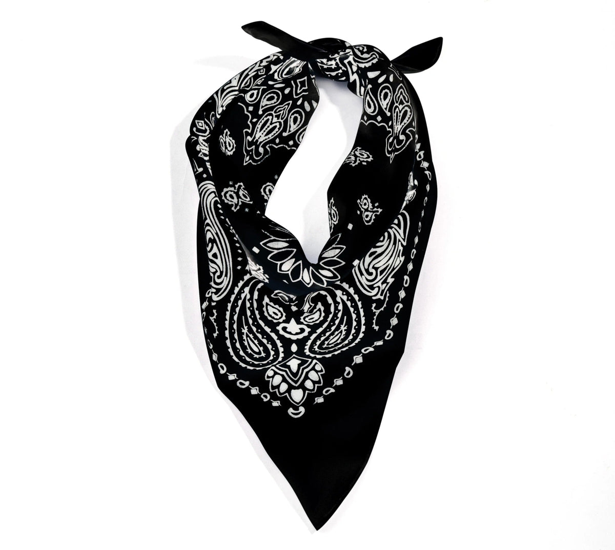 Trainmen Paisley Bandana - 22’’ x