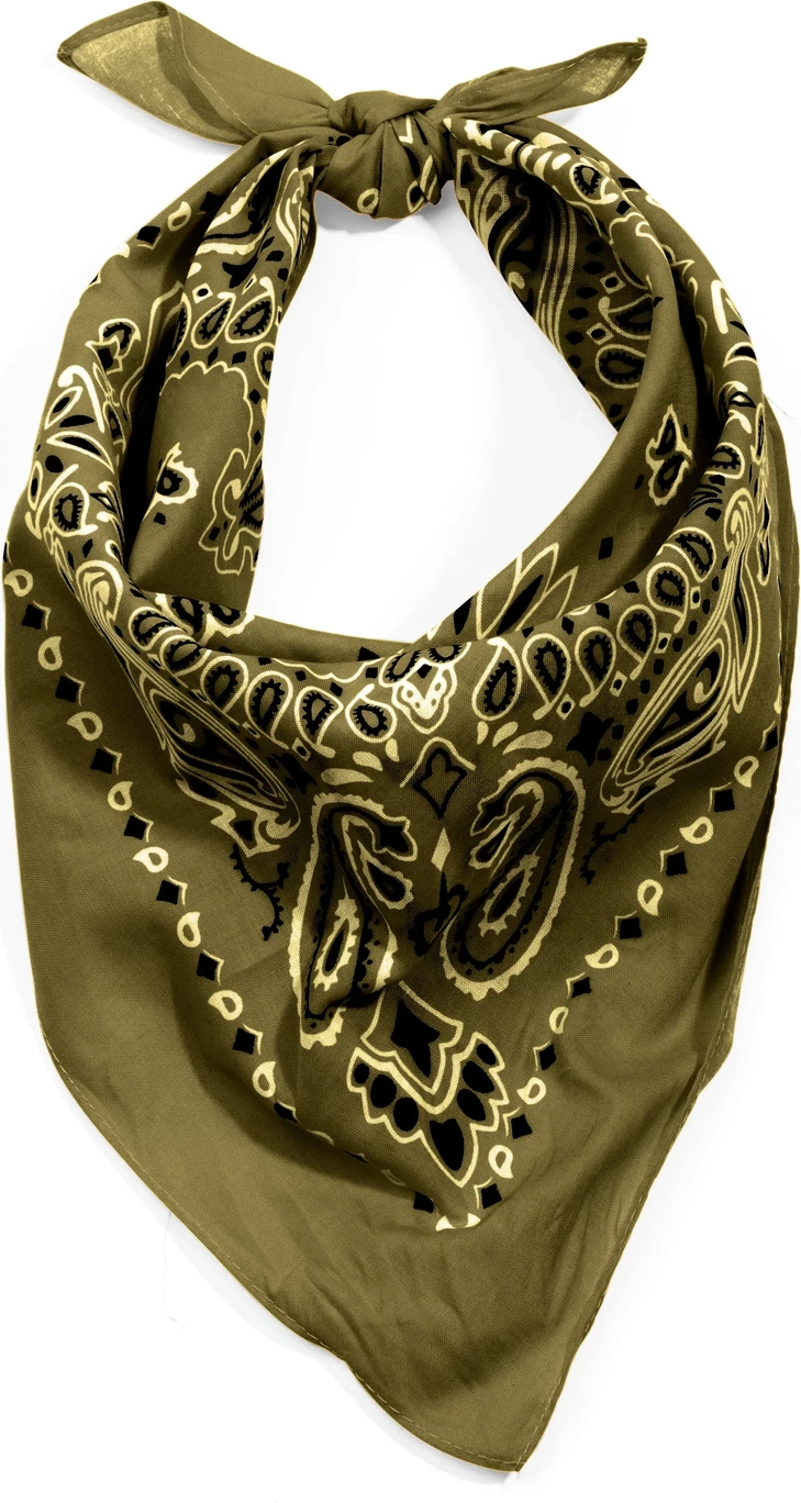 Trainmen Paisley Bandana - 22’’ x